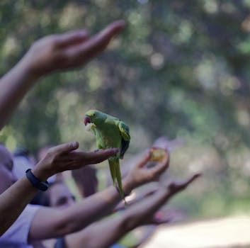 a vibrant parrot in its natural habitat, interacting with others